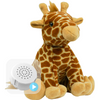 Giraffe 8