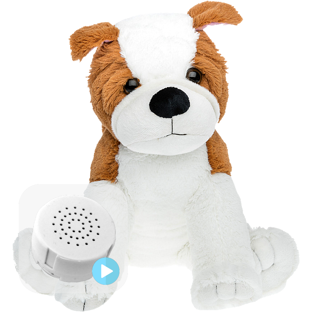 Ziggy The Zombie Bear - Recordable - Retail Teddy Tastic - View #2