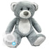 Grey Teddy 12" Baby Heartbeat Bear